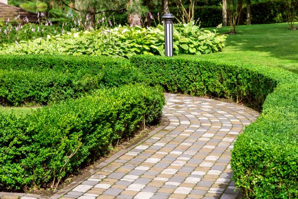 Paved Landscaping in Los Gatos