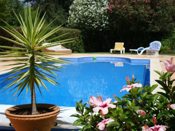 Pool Terrace Renovation in Los Gatos